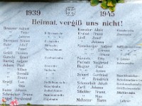 auszug 2