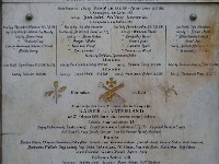 liesing 6