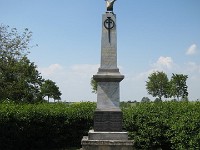 IMG 4787bearb