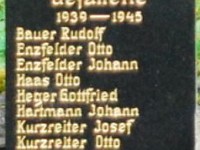 auszug 1