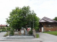 5163 Perwang am Grabensee 1