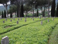DSCN 50